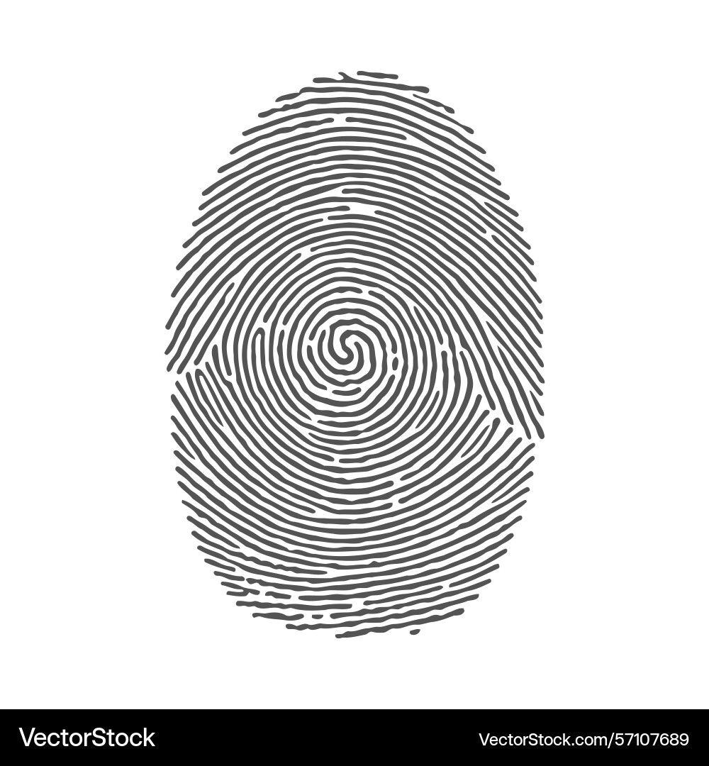 Fingerprint identification security access vector image