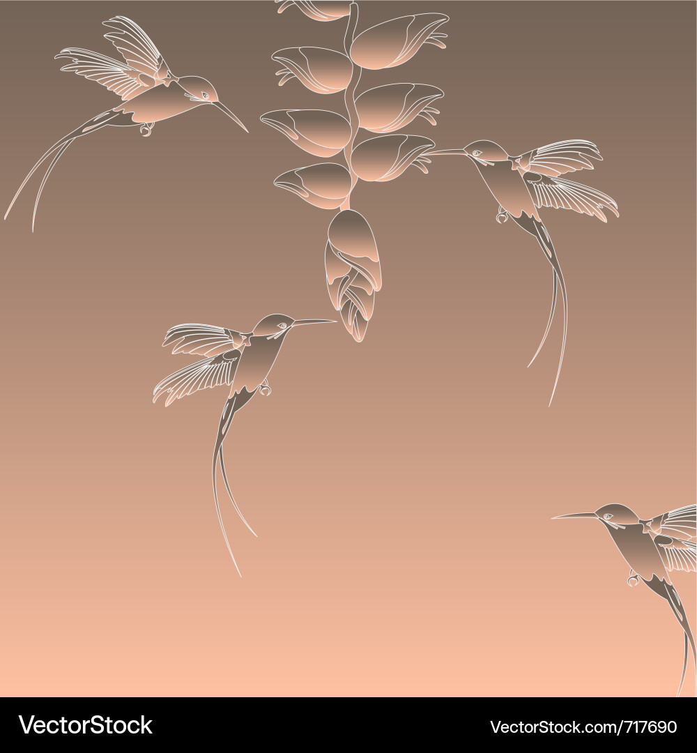 Hummingbird Silhouette Vektorbild