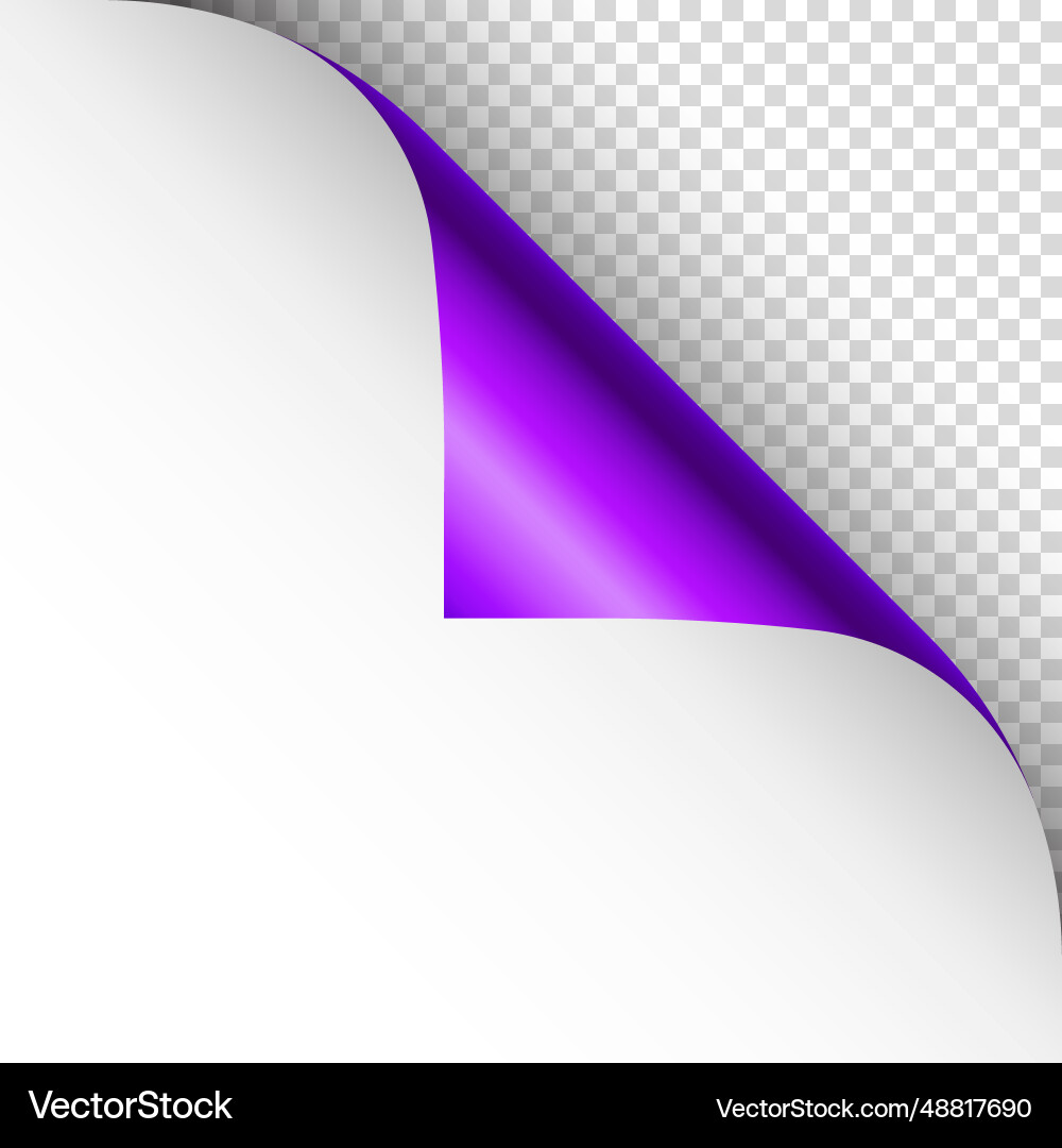 Violet paper curl curled page corner with shadow Violet paper curl curled page corner with shadow vector image