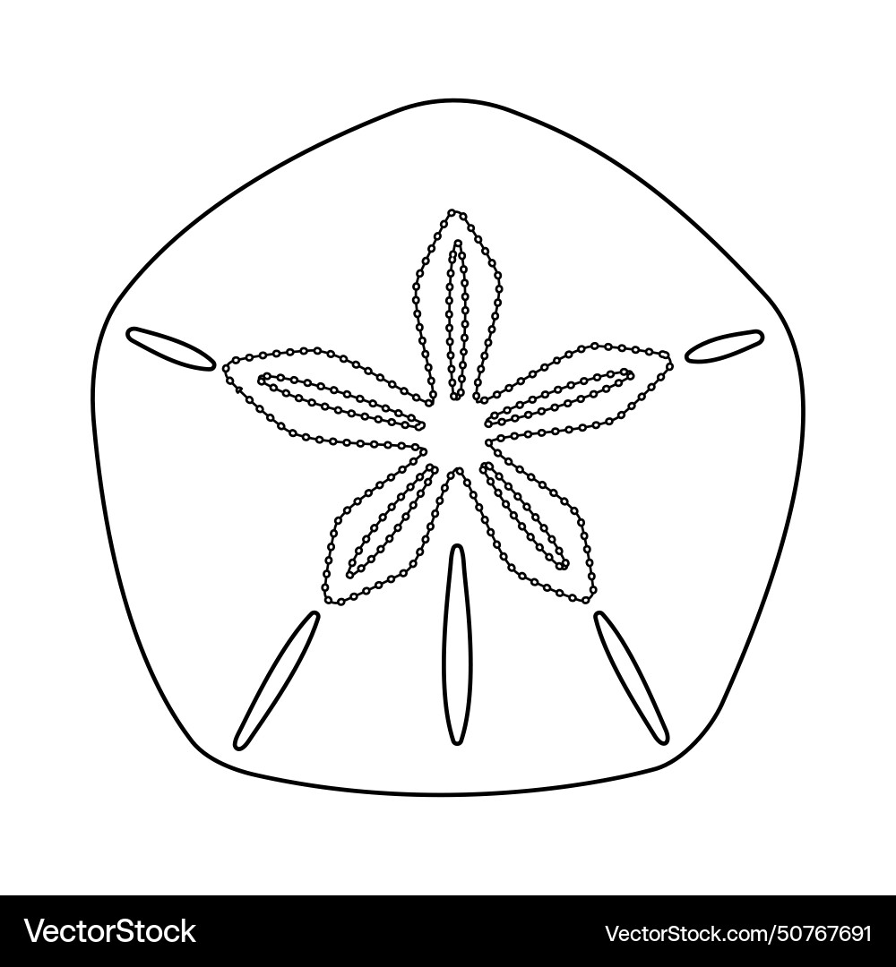 Sand dollar fossil black and white Sand dollar fossil black and white vector image