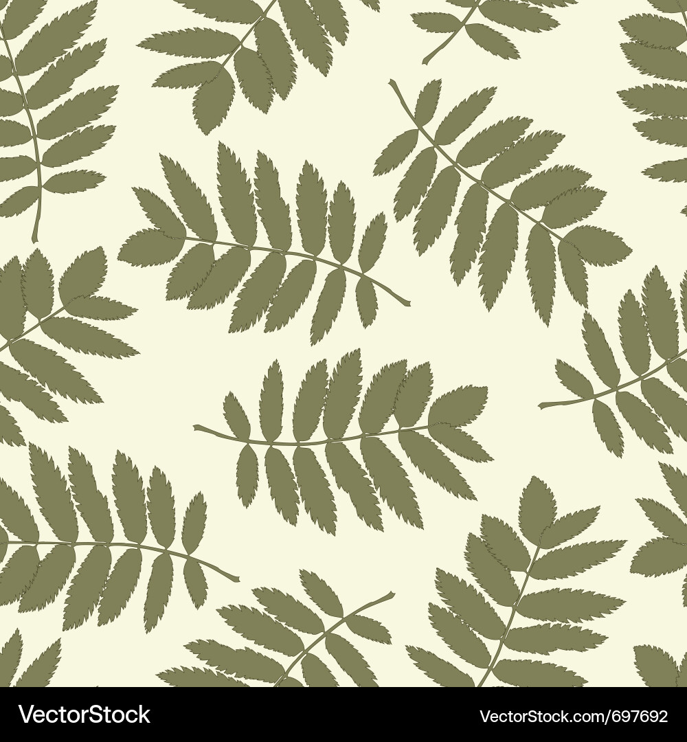 Rowan Leaf Seamless Pattern Vector Image
