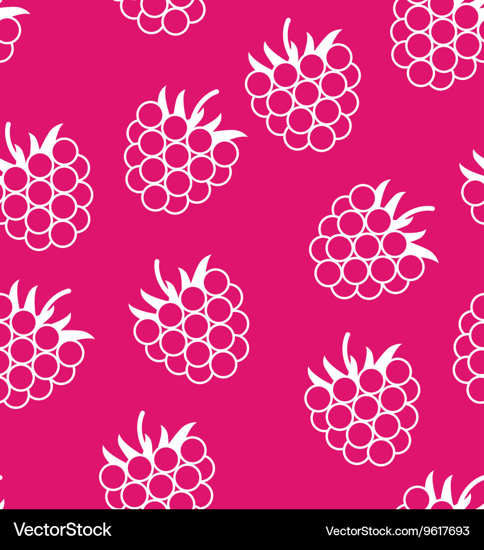 Raspberry Seamless Pattern vector image