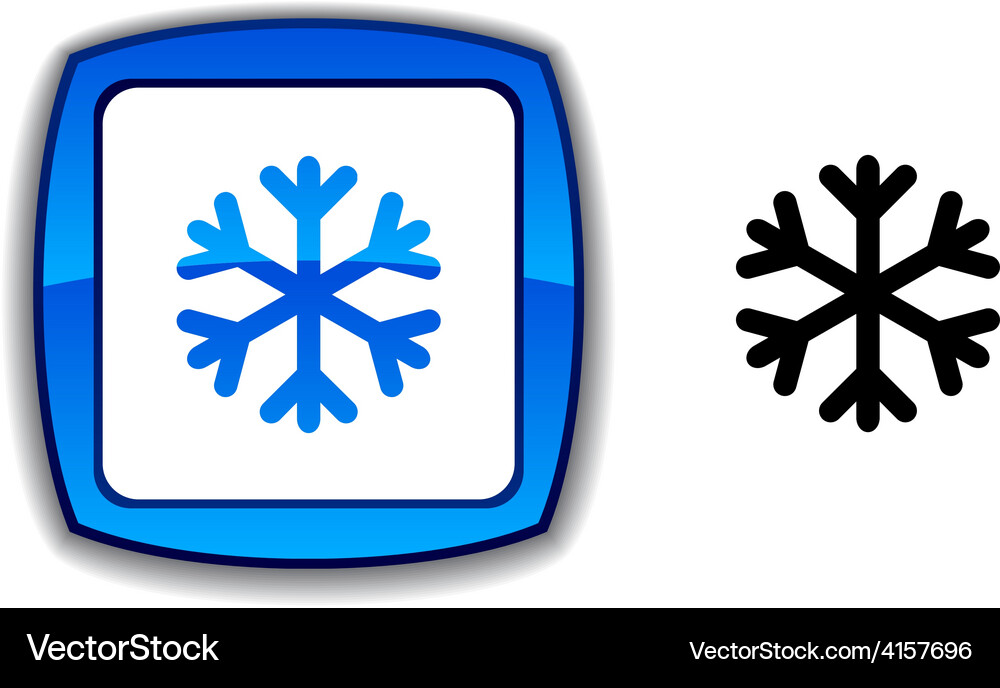 Snowflake button Vector Image