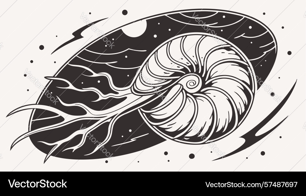 Abstract ammonite shell with light beams fossil vector image