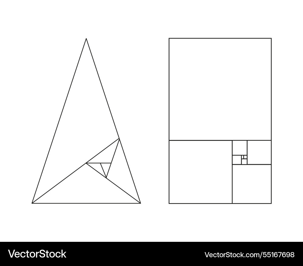 Golden ratio template fibonacci array numbers vector image