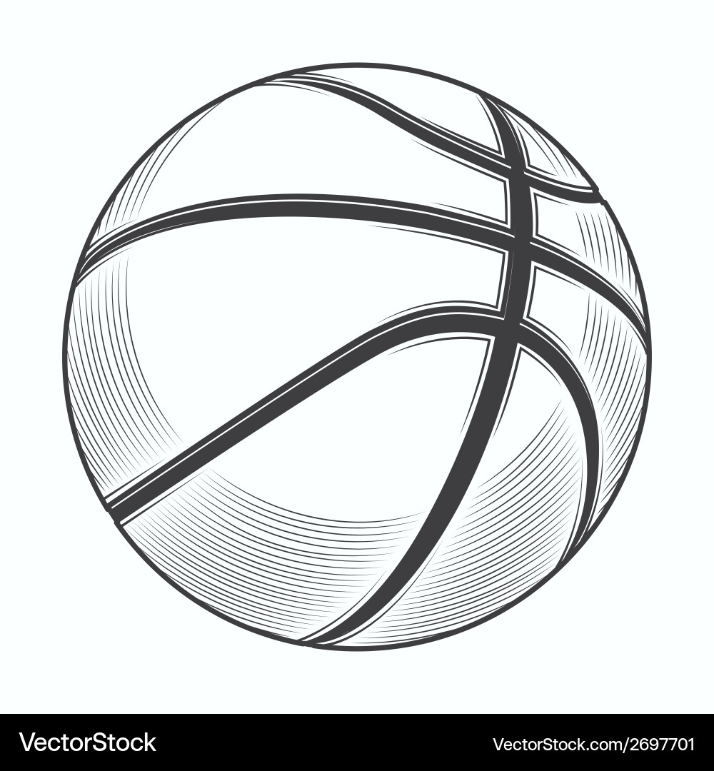 Basketball Line Art vector image