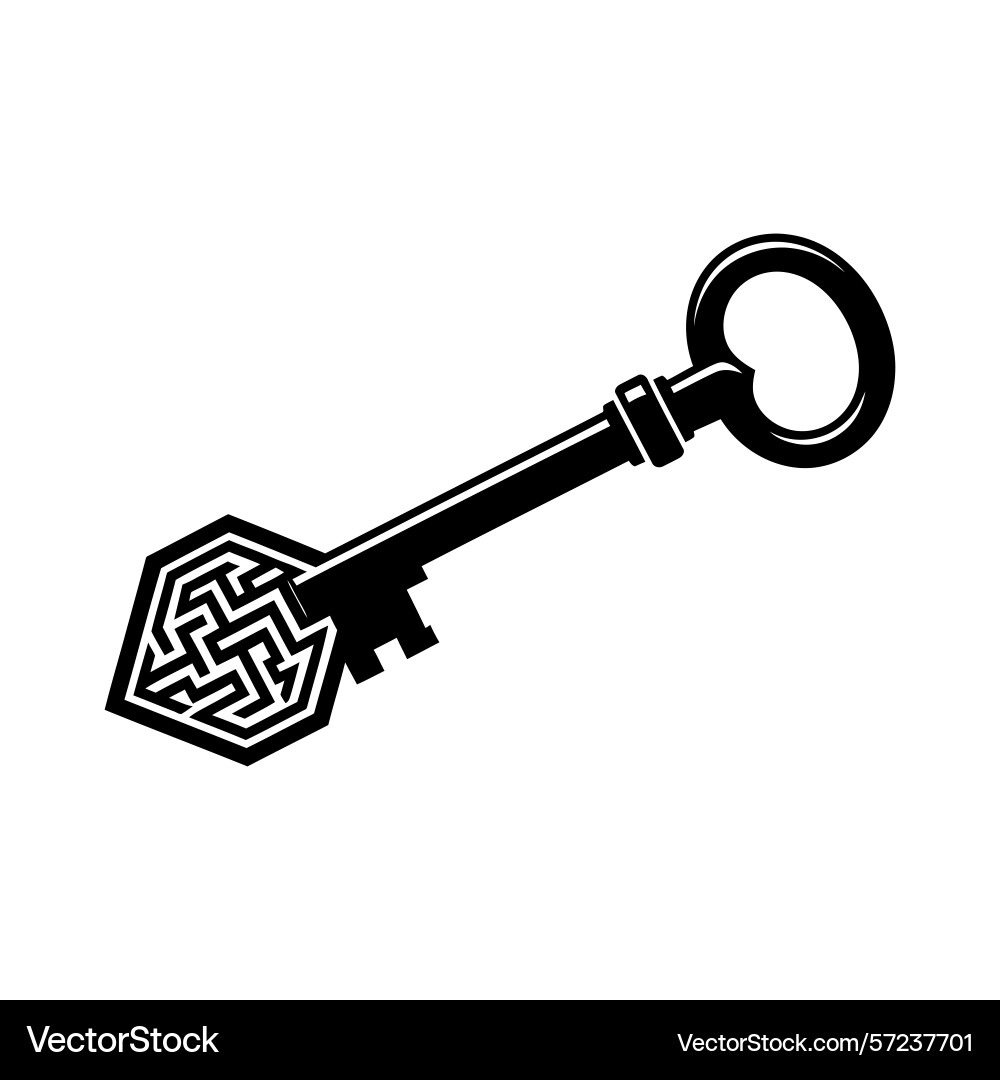 Intricate maze key design symbolic icon abstract vector image