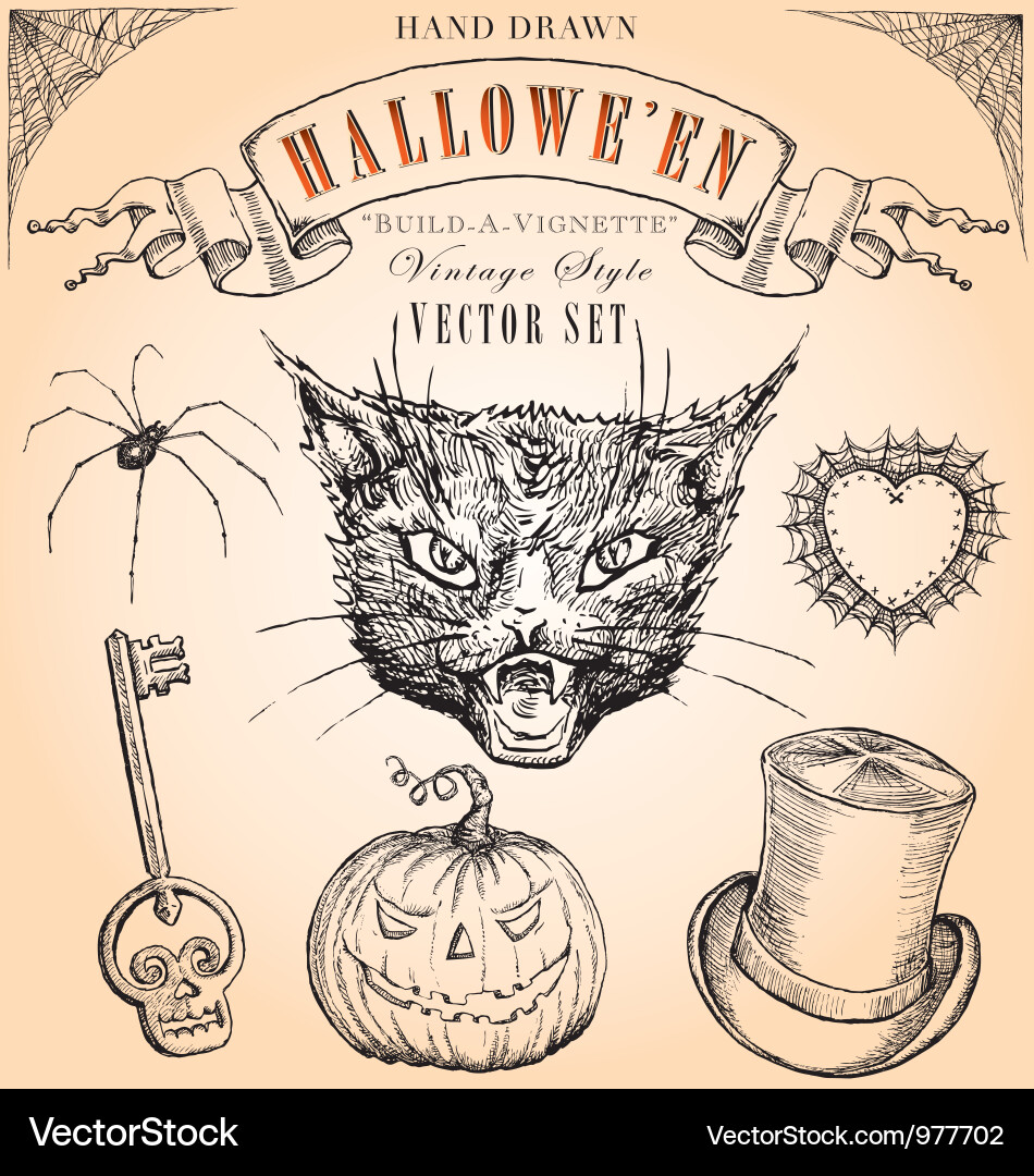 Vintage Halloween Vignette vector image