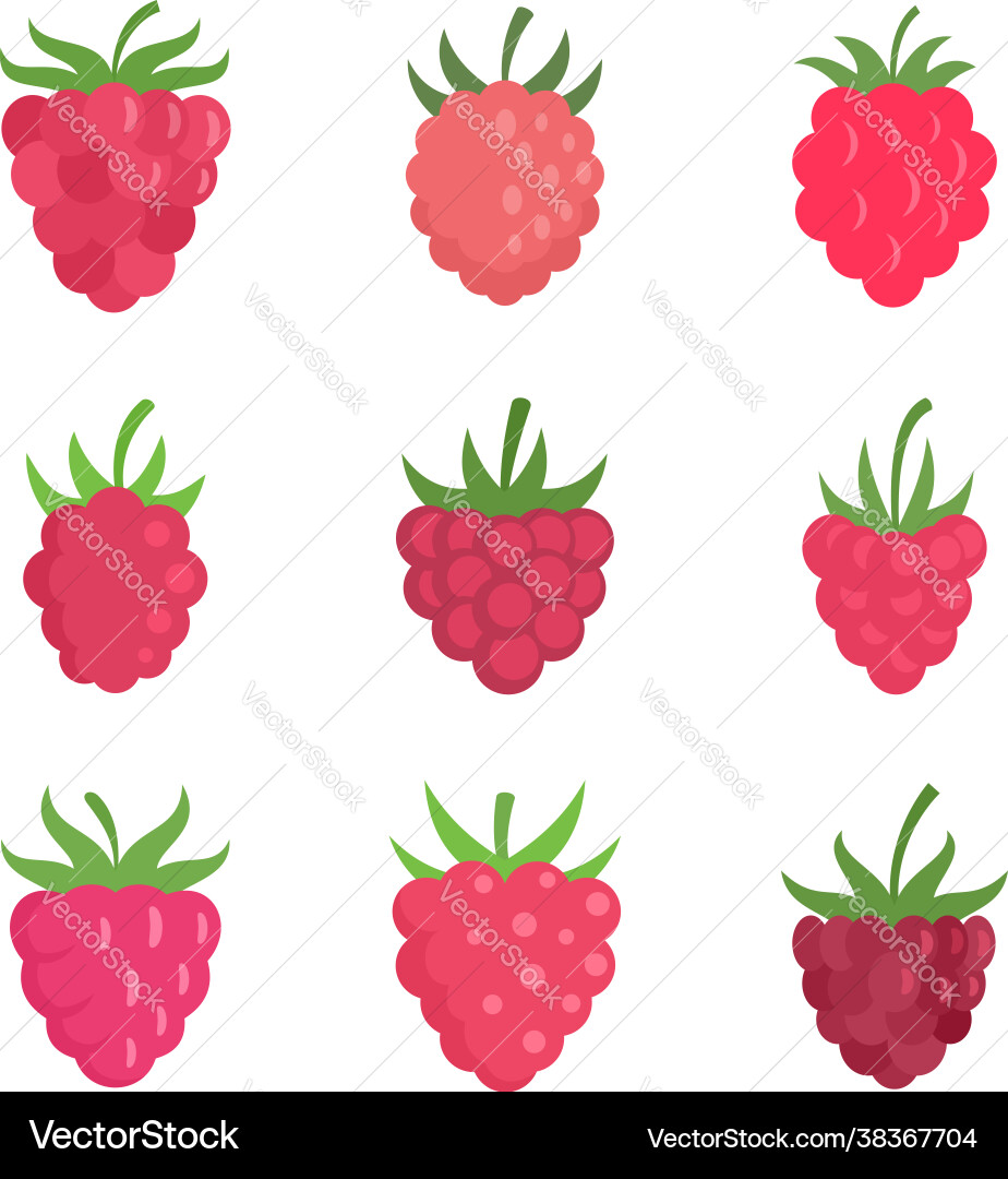Raspberry Icon Set - Flat Style vector image