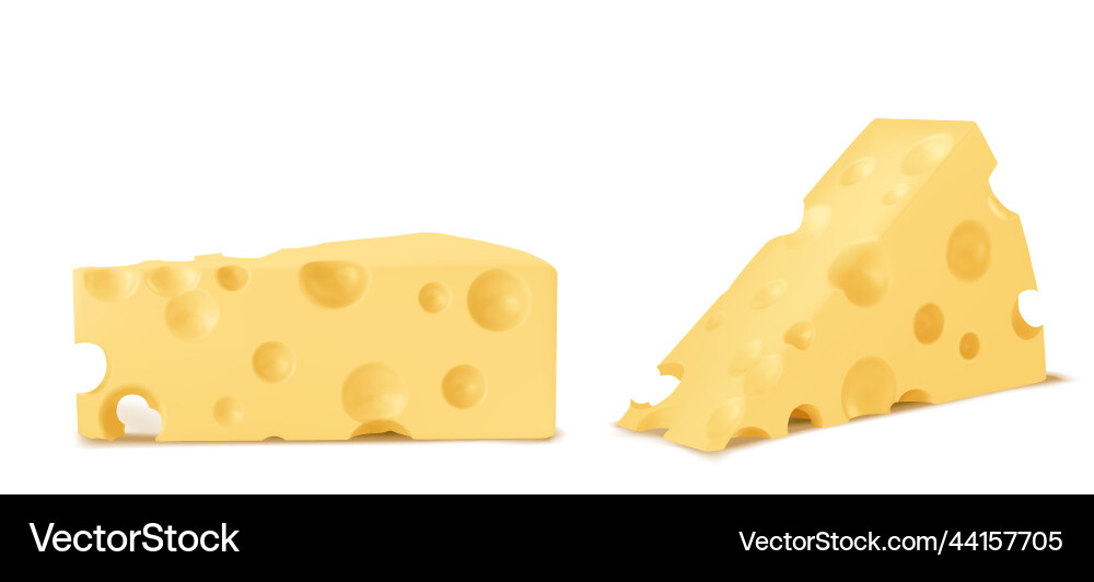 A set of cheesy simple stable and neat cheese A set of cheesy simple stable and neat cheese Vector Image