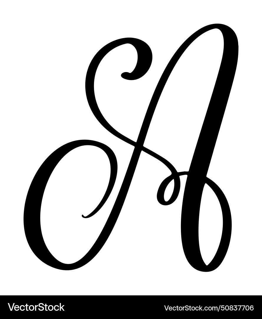 Hand drawn calligraphy letter a script Vector Image
