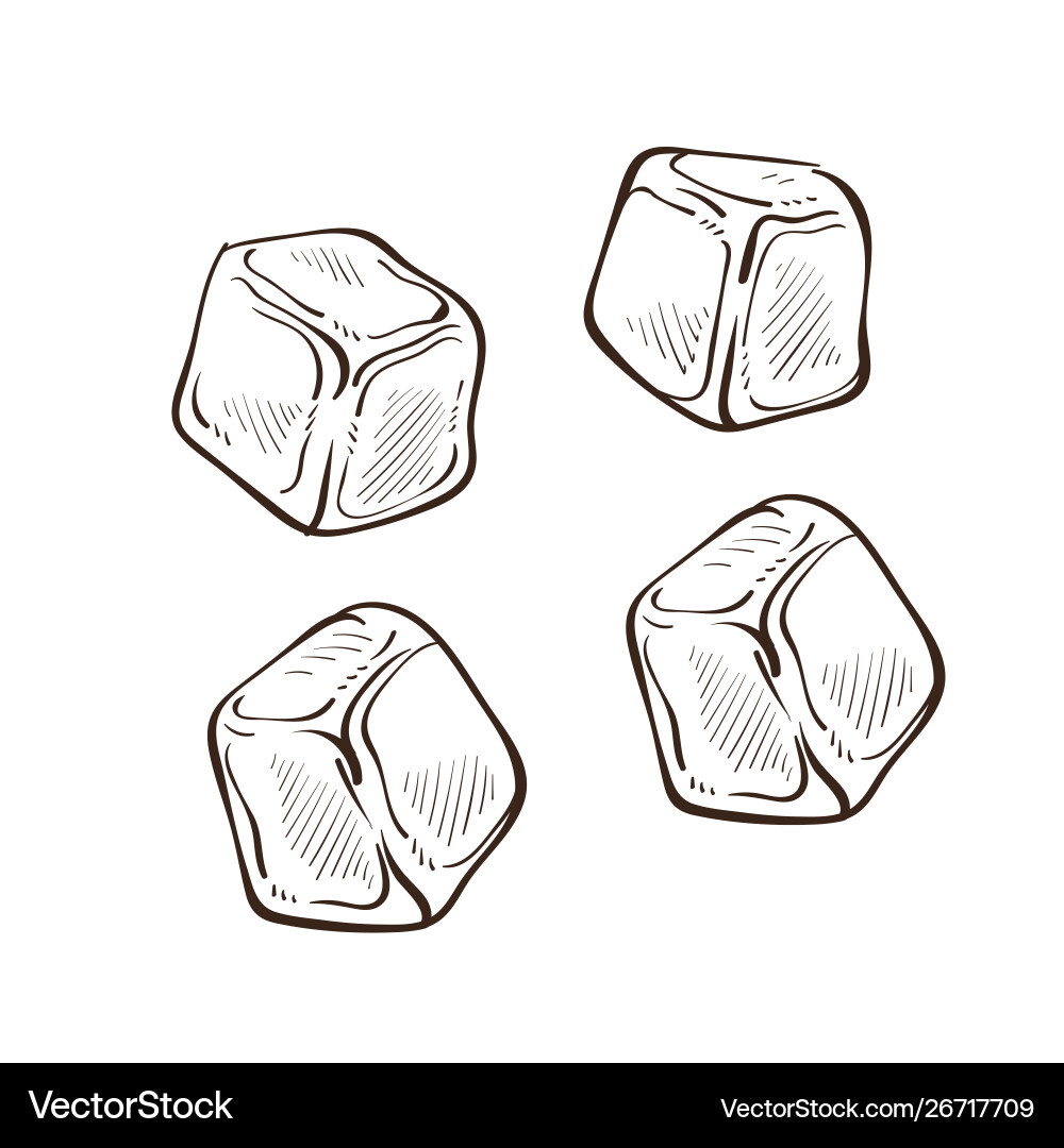 Isolated Ice Cube Sketches Vector Image