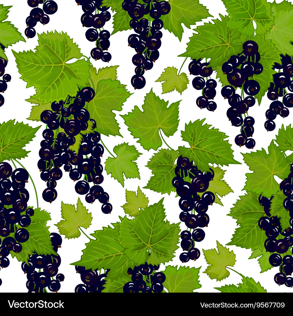 Red currant seamless pattern collection Vector Image