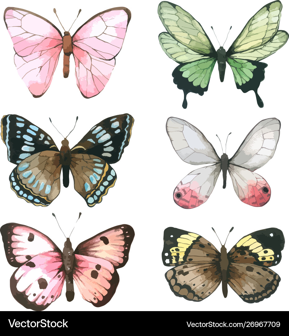Watercolor Butterfly Collection vector image