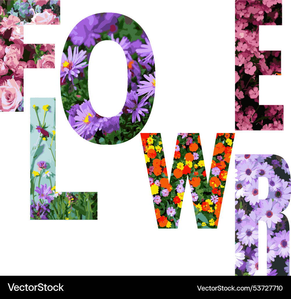 Flower Royalty Free Vector Image - VectorStock