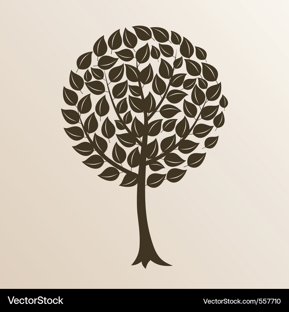Tree with a roundish crone Vector Image