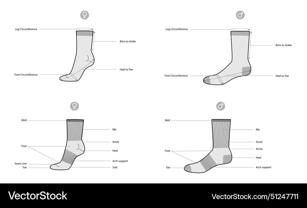 Diagrams of sock parts and measurements with text Vector Image