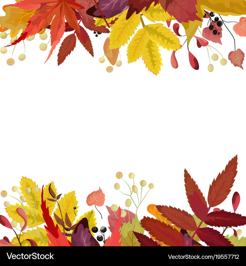 Autumn Floral Border with Maple Leaves Vector Image