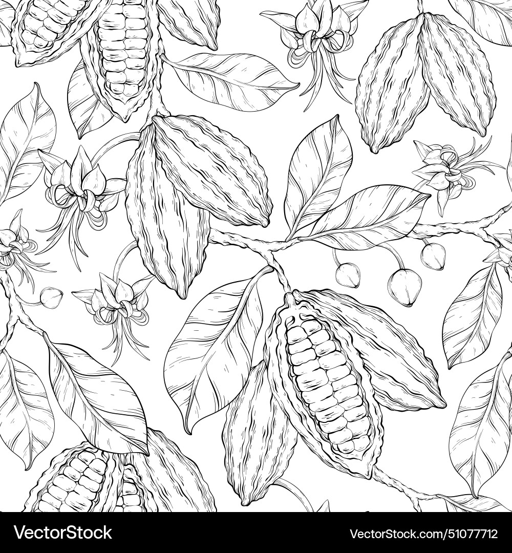 Cocoa outline seamless pattern Cocoa outline seamless pattern vector image