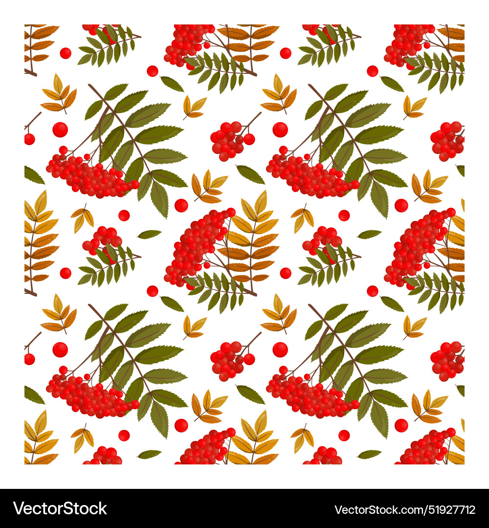 Seamless pattern rowan branches and twigs Vector Image