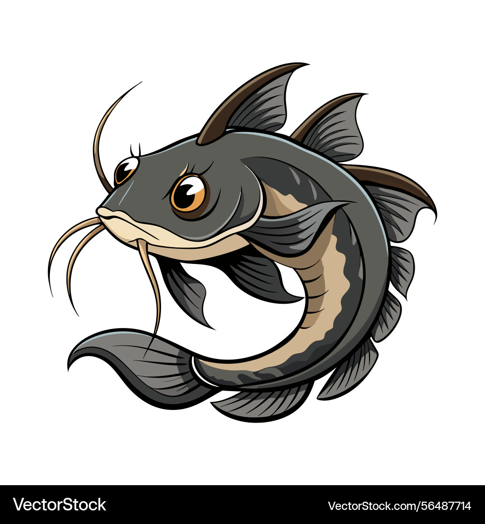 Catfish Vector Image