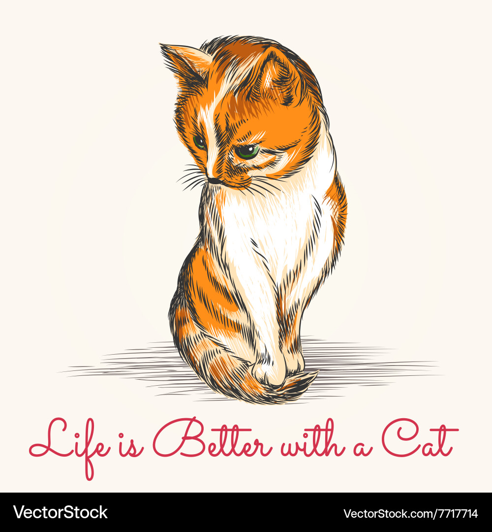 Kitty Royalty Free Vector Image Vectorstock Kitty Royalty Free Vector Image Vectorstock