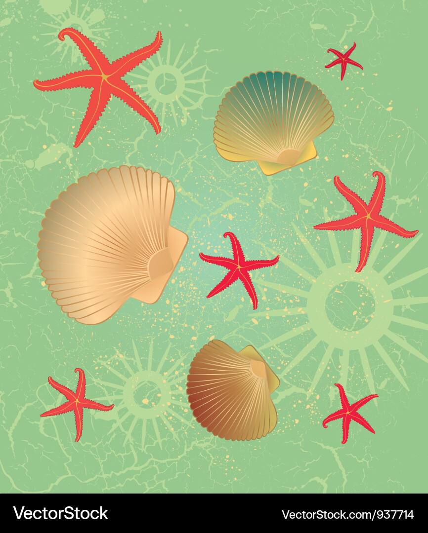 Seashell Muster Hintergrund Vektorbild