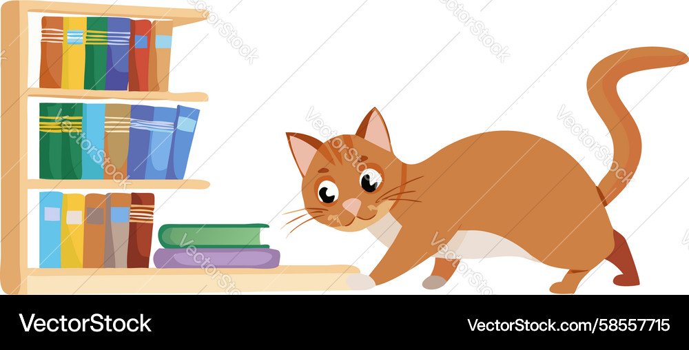 Ginger Cat with Bookshelf Vector Image