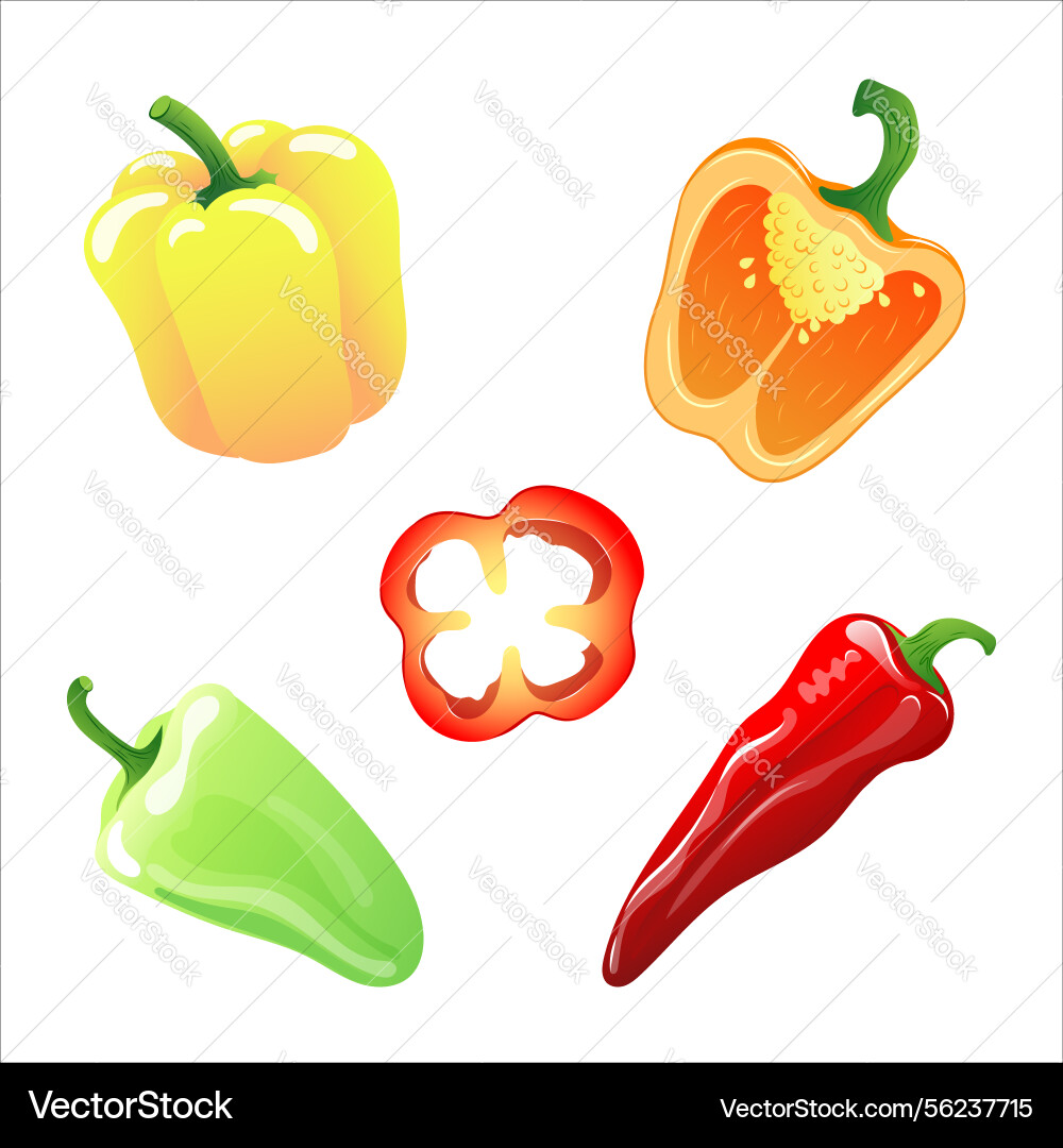 Set with different types of peppers Set with different types of peppers Vector Image