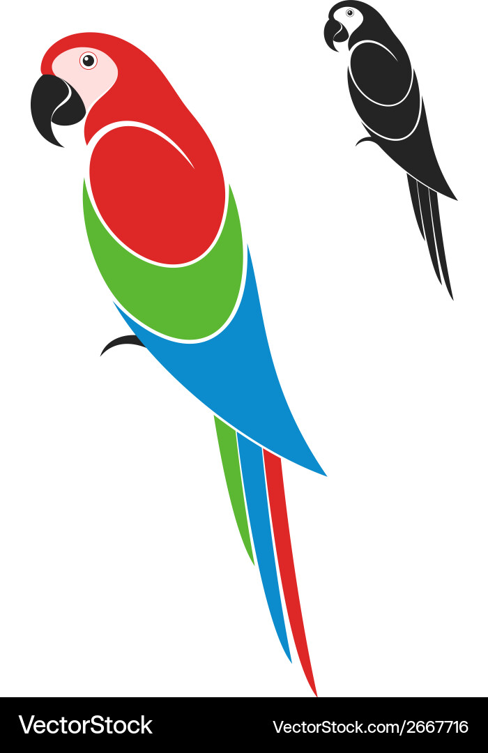 Elegant Parrot Silhouette Vector Image