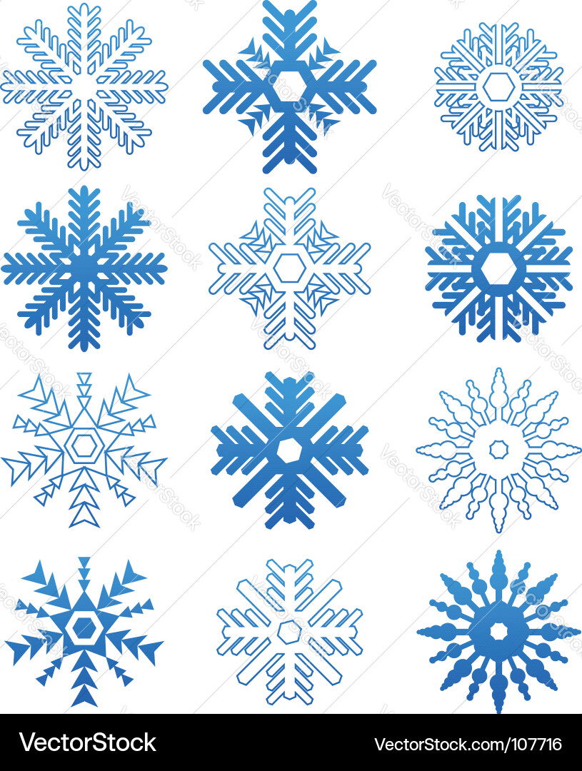 Snowflake Collection vector image