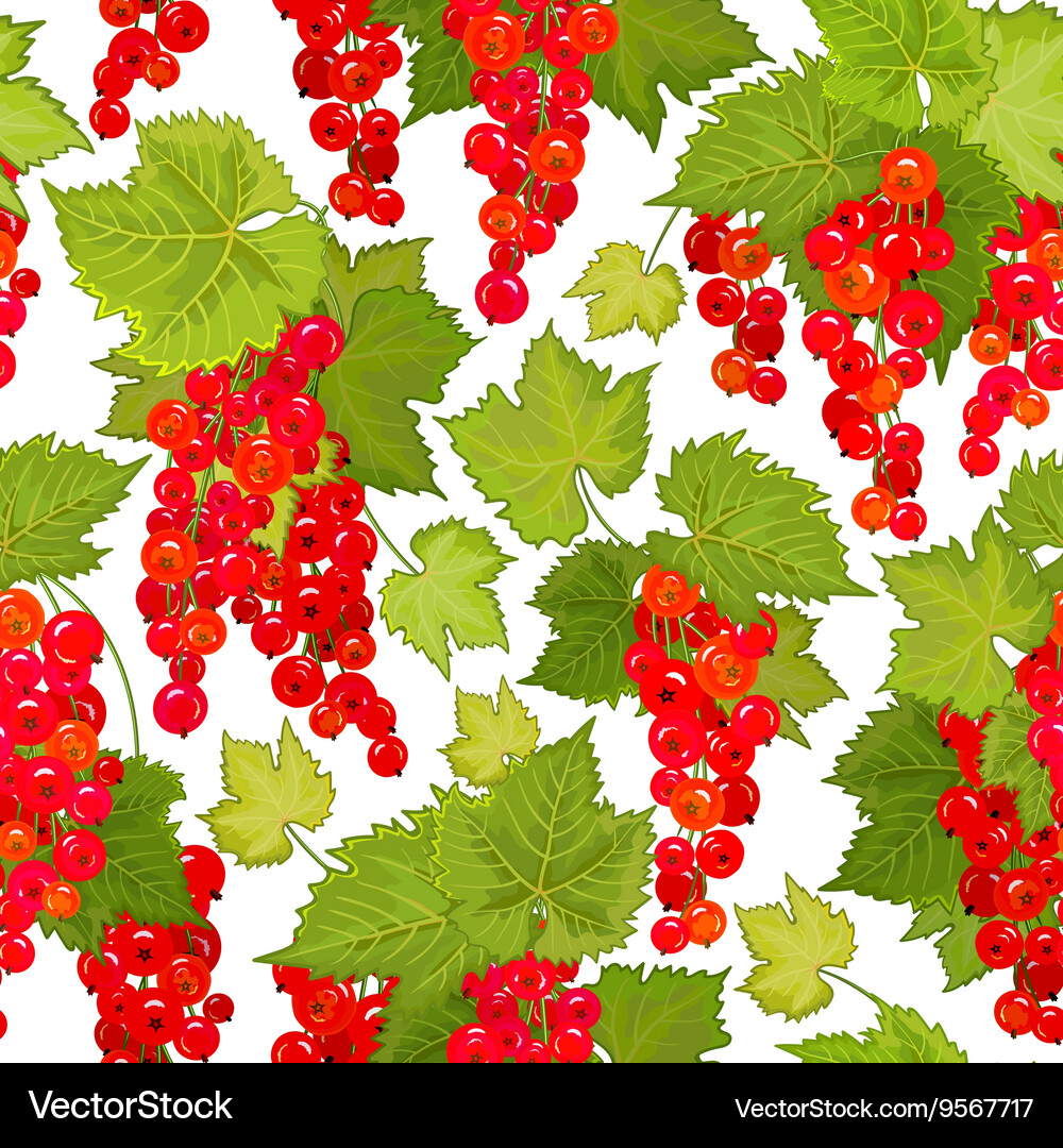 Red currant seamless pattern collection Vector Image