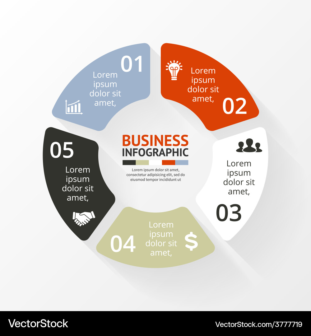 Circular Diagram & Process Flowchart vector image