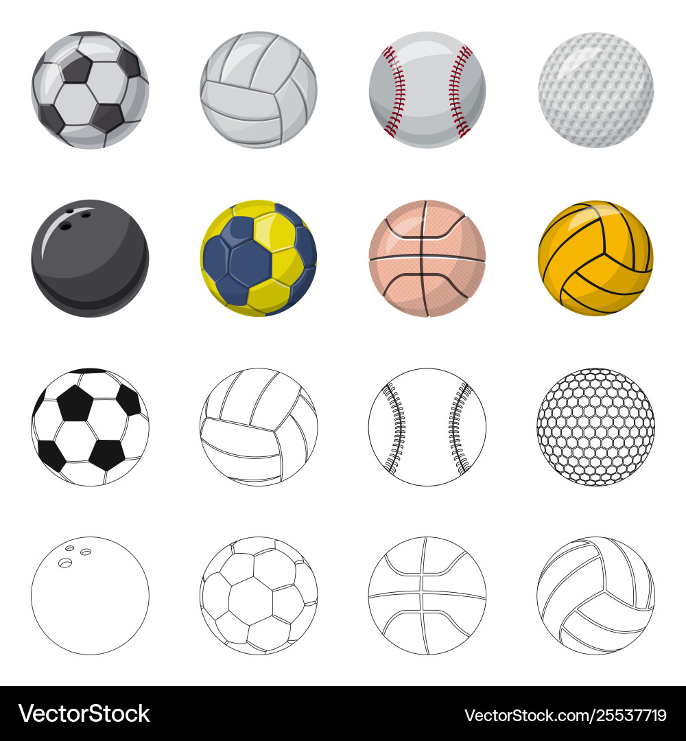 Sport & Ball Icon Set Vector Image