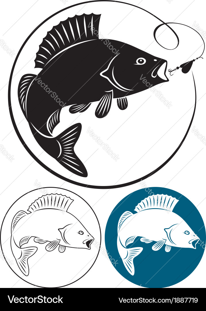 Various Fish Icons Vector Image