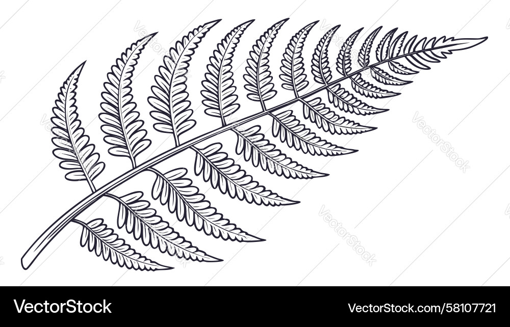 Fern Leaf Outline - Lush Greenery Vector Image