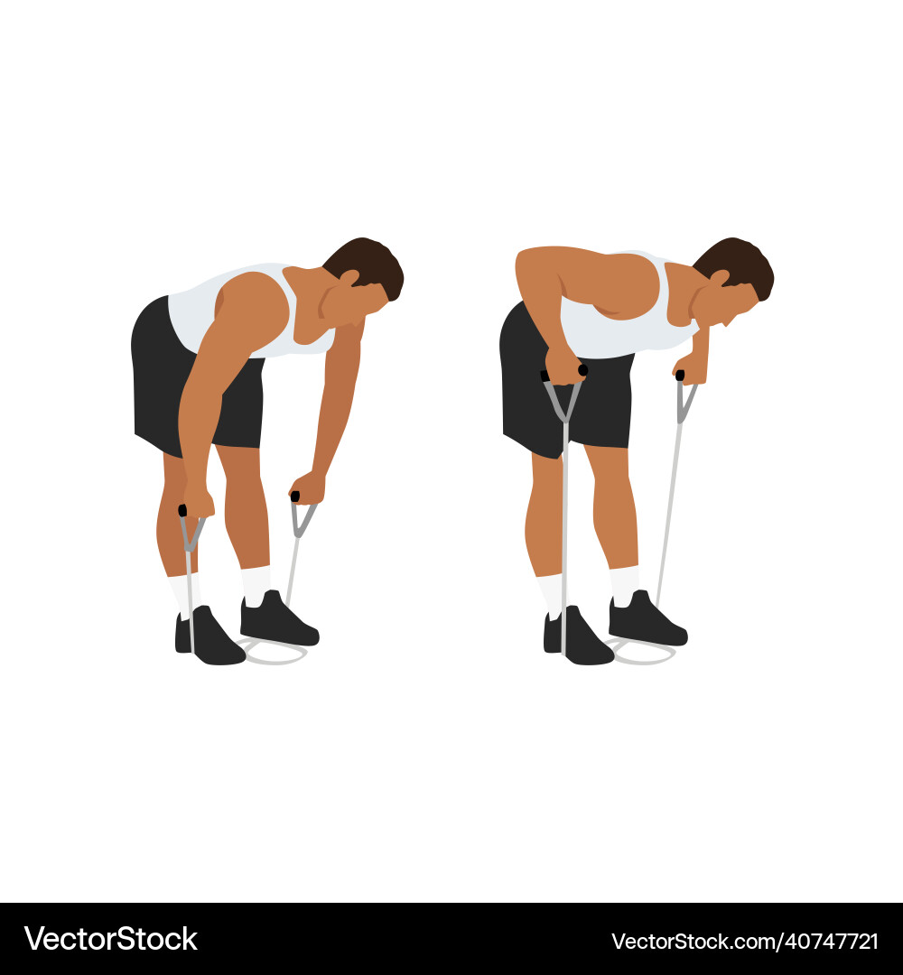 Man doing resistance band bent over rows exercise Man doing resistance band bent over rows exercise vector image