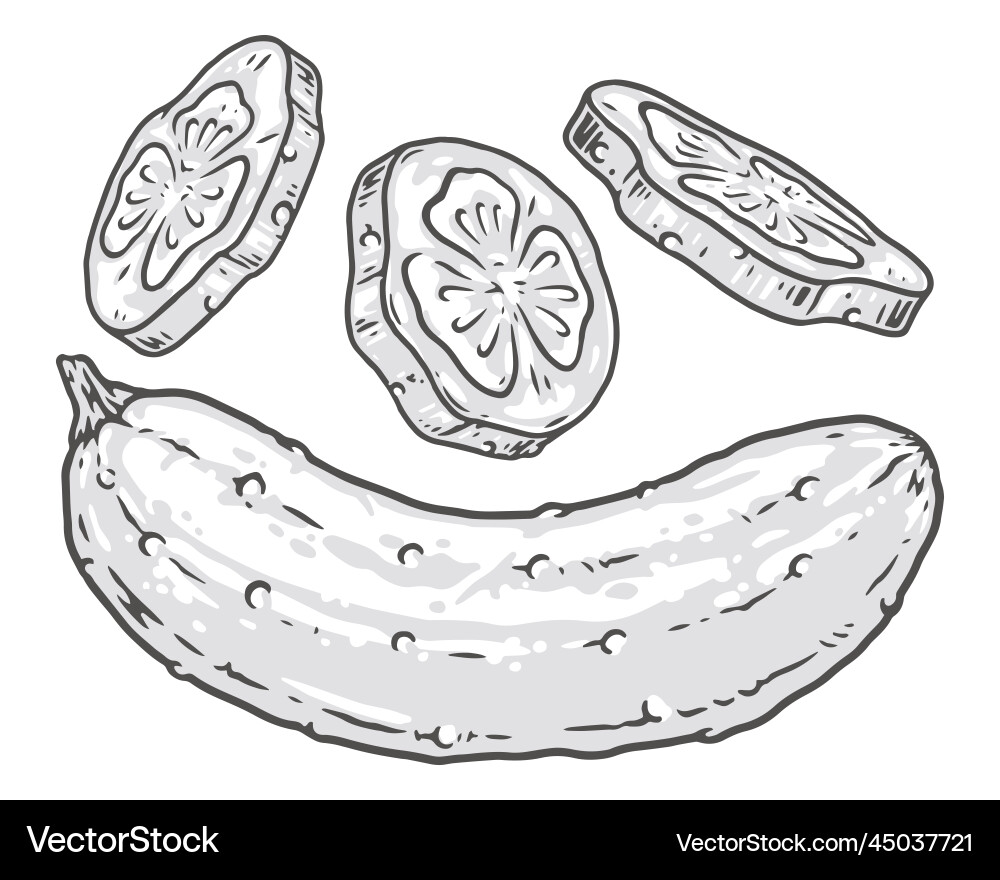Monochrome Cucumber Slice Set vector image