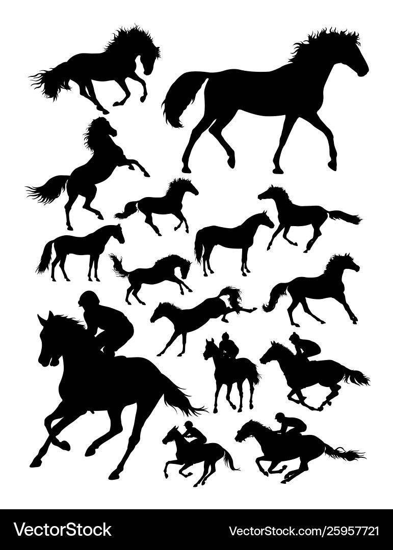 Silhouette jockey and horse vector image