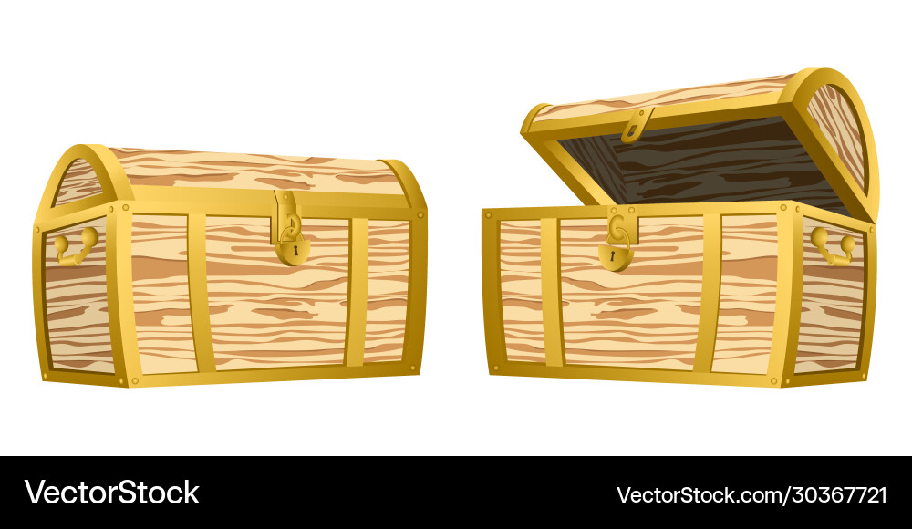 Treasure chest vector image