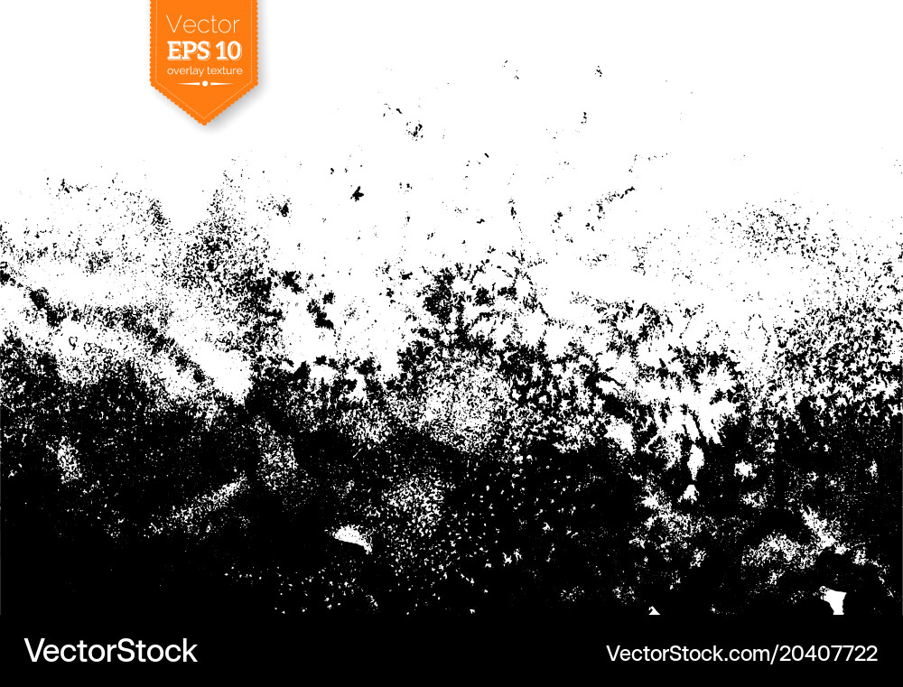 Grunge Paint Splatter Texture Vector Image
