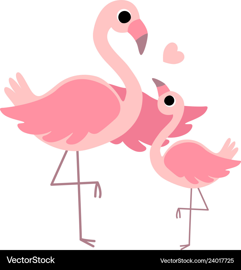 Beautiful mother flamingo and its baby cute Beautiful mother flamingo and its baby cute vector image
