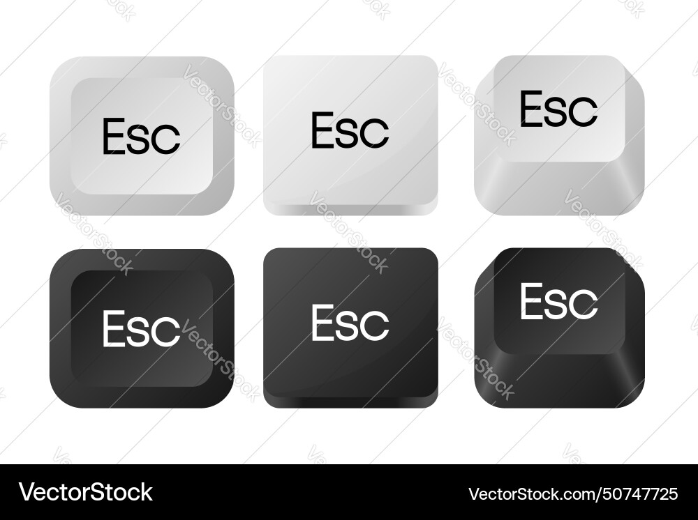 Esc keyboard button icon of different types Vector Image