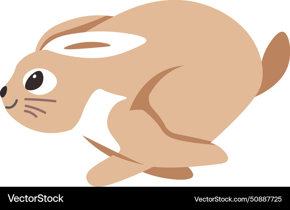 Rabbit running fast hare animal in motion Vector Image