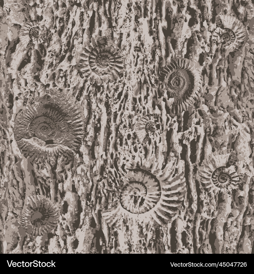 Seamless pattern background with sea stone texture Vector Image