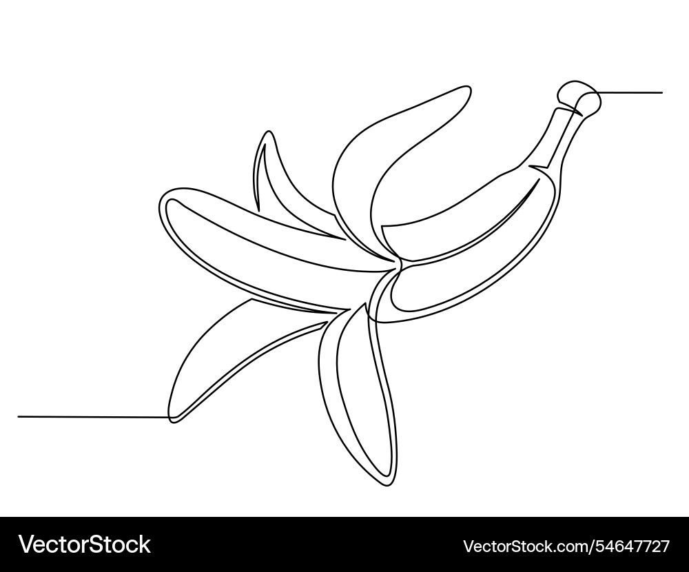 Continuous one line of opened banana vector image