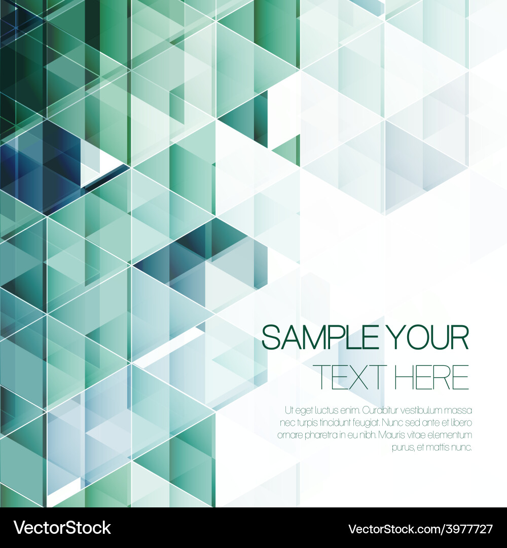 Geometric Triangular Pattern vector image