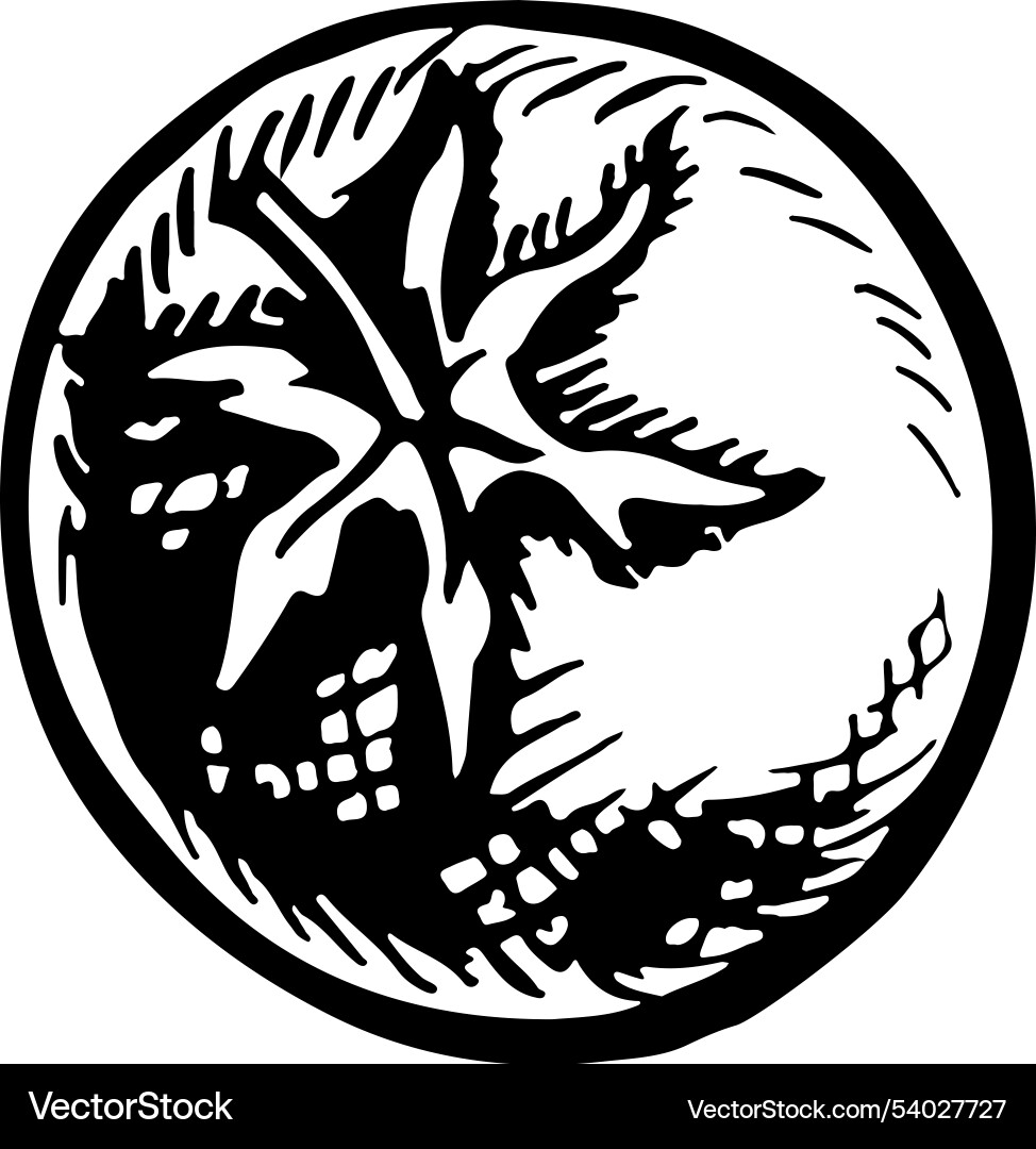 Tomato graphics with the image Tomato graphics with the image Vector Image
