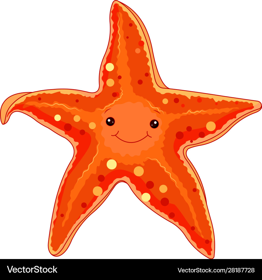 Starfish Royalty Free Vector Image - VectorStock
