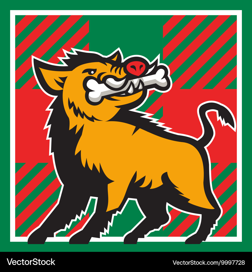 Wild boar bone in mouth tartan square retro Vector Image